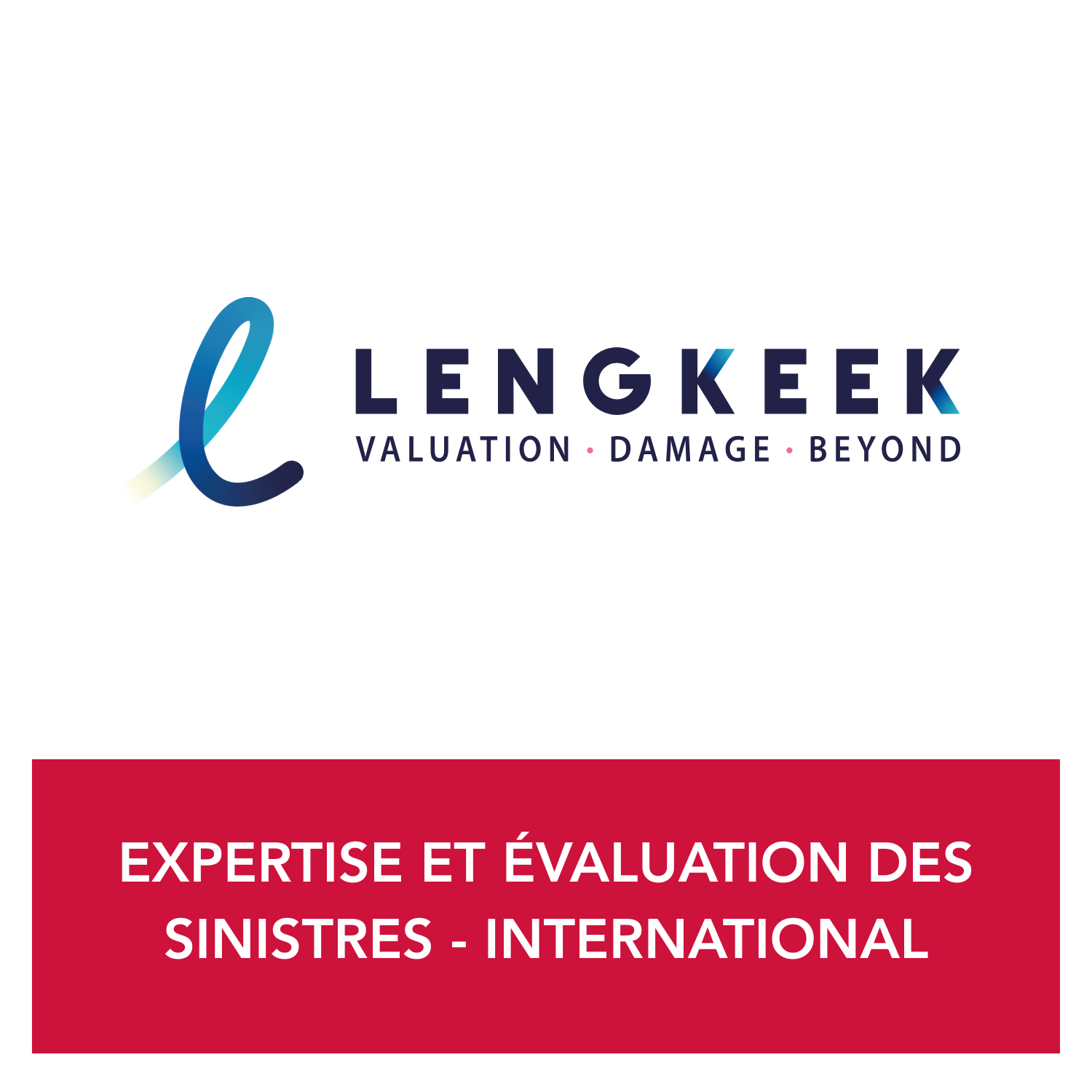 Elex Expertise Avis